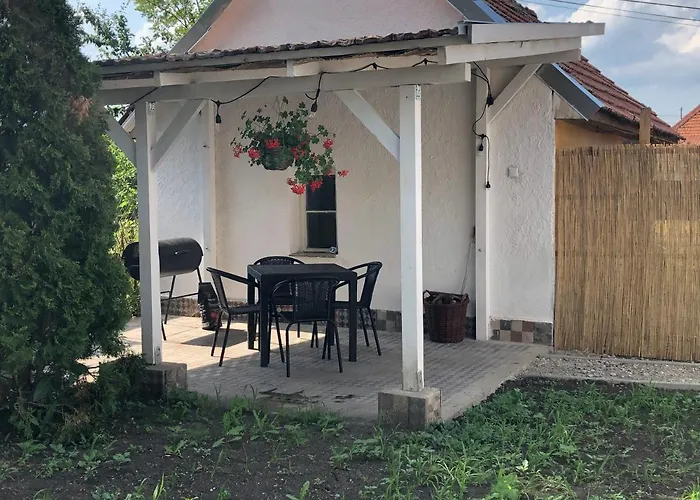 Mormota Mezőkövesd