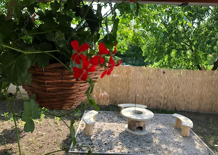 Mormota Vendeghaz * Mezőkövesd